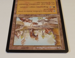 MTG Yavimaya Hollow Urza's Destiny Regular 1999 NM - Image 3