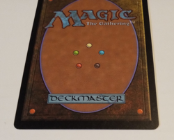 MTG Yavimaya Hollow Urza's Destiny Regular 1999 NM - Image 5