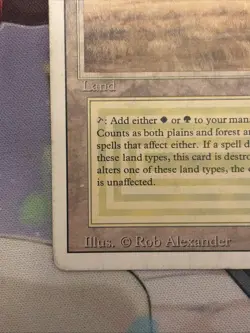 Savannah Revised Rare MTG Magic the Gathering HP/Damaged - Image 3