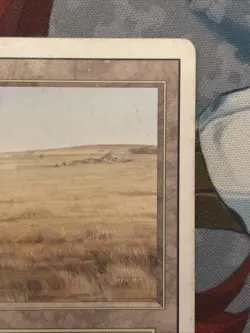 Savannah Revised Rare MTG Magic the Gathering HP/Damaged - Image 5