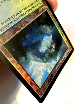 MTG Hinterland Harbor RETRO FRAME FOIL Dominaria Remastered 396 NM - Image 4