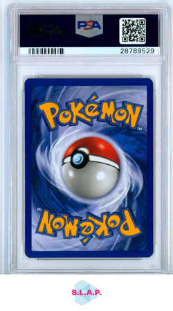 AZUMARILL POKEMON 13 2002 NEO DESTINY 1ST ED HOLO ENGLISCH PSA 10 - Image 2