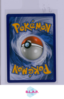 DOUBLE COLORLESS ENERGY POKEMON 166/145 SM GUARDIANS RISING SECRET RARE GERMAN - Image 2