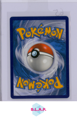 GLURAK V POKEMON SWSH050 SWORD & SHIELD V HOLO BLACK STAR PROMO GERMAN - Image 2
