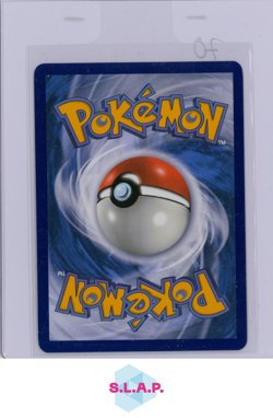 EISENBLATT EX POKEMON 203/162 2024 SCARLET & VIOLET TEMPORAL FORCES GERMAN - Image 2
