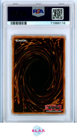 BLUE-EYES WHITE DRGN.LOB REPRINT YU-GI-OH! LEGEND OF BLUE EYES 2010-17 001 PSA 8 - Image 2