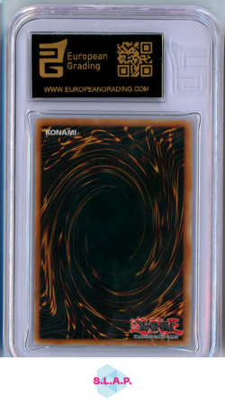 THERION LILY BORA YU-GI-OH! DIFO-EN006 2022 DIMENSION FORCE 1ST ED ENGLISH EG 9 - Image 2