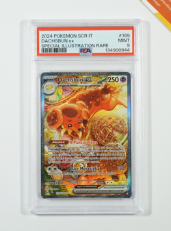 Pokemon PSA 9 Dachsbun Ex #169 SCR IT Special Illustration Rare 2024 Italiano - Image 1