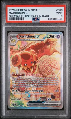 Pokemon PSA 9 Dachsbun Ex #169 SCR IT Special Illustration Rare 2024 Italiano - Image 2