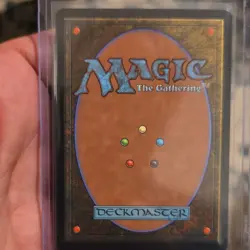 Wizards Leonardo, Sewer Samurai M0301 TMNT Autographed Kevin Eastman White - Image 2