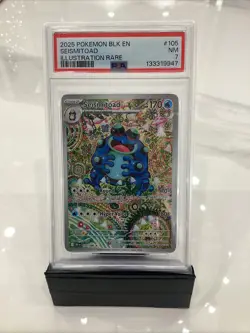 2025 Pokemon Black Bolt Seismitoad Illustration Rare #105/86 PSA 7 - Image 1
