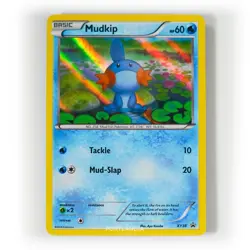 Pokemon - Mudkip Holo - XY38 - Black Star Promo Card - Image 1