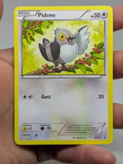 Pokemon Pidove Toys R Us Mystery Promo BW15 Black & White - Image 2
