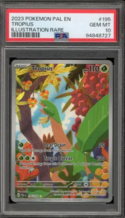 Pokemon Tropius Paldea Evolved Illustration Rare #195 PSA 10 Gem Mint - Image 1