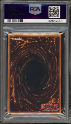 Yu-Gi-Oh! Dark Paladin Magician's Force 1st Edition CORRECTED ART MFC-105 PSA 10 - Image 2