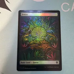Forest (Showcase) Dominaria United Foil - Image 1
