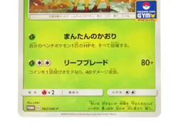 Pokemon card TCG Leafeon&Glaceon 382.385/SM-P Promotional cards 2019 Japanese LP - Image 3