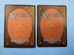 MTG Ice Age Ed., Adakar Wastes and Karplusan Forest! 1995 Vintage Magic! - Image 2
