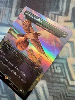 Foil African | European Swallow - Birds of Paradise Monty Python SLD (Scratch) - Image 2