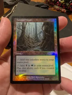 Magic: The Gathering Tainted Wood Torment Foil HP Land 143 Rob Alexander - Image 2