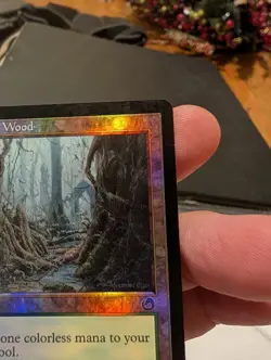 Magic: The Gathering Tainted Wood Torment Foil HP Land 143 Rob Alexander - Image 4