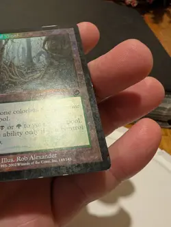 Magic: The Gathering Tainted Wood Torment Foil HP Land 143 Rob Alexander - Image 5