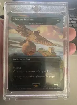 Magic: The Gathering Secret Lair European & African Swallow Creature Cards - Image 2