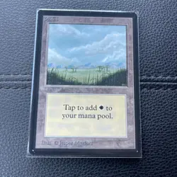 Magic the Gathering MTG Plains v.1 (Trees) Beta NM - Image 1
