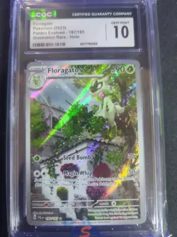 CGC 10 GEM MINT Floragato #197 Illustration Rare Paldea Evolved Pokemon Card - Image 1