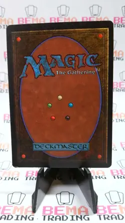 Mesa Pegasus Limited Edition - Beta Edition Regular - Image 2