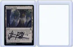 Evolving Wilds Duel Decks: Elspeth vs. Kiora Signed Artist Proof MTG - Image 3