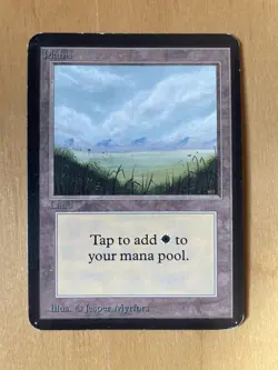 5 MTG Alpha Edition Plains - 1993 Vintage Magic the Gathering - Image 2