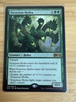 Magic the Gathering: Voracious Hydra Core Set 2020 Regular NM - Image 1
