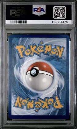 PSA 10 Phanpy Illustration Rare 205/191 Pokemon Surging Sparks - Image 2