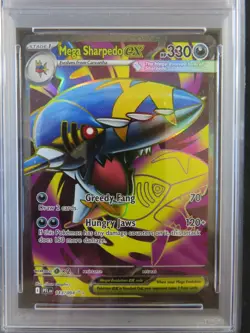 Pokemon Mega Sharpedo EX 113/094 Me02: Phantasmal Flames Holo GEM MINT PSA 10 - Image 3