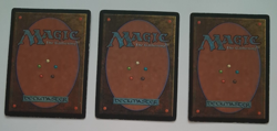 3x Jackal Pup HP MTG Magic the Gathering Tempest - Image 2
