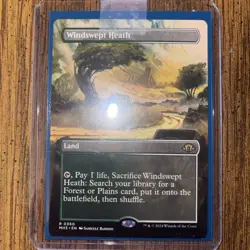 Windswept Heath (Borderless) Modern Horizons 3 Regular - Image 2