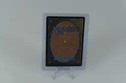 Rot-Curse Rakshasa Borderless Foil Tarkir: Dragonstorm MTG - Image 2