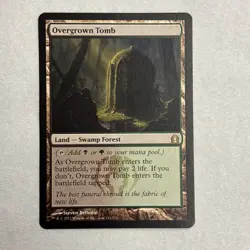 Overgrown Tomb : MTG / Return to Ravnica #243 / NM B - Image 1