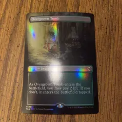 Overgrown Tomb (Borderless) Ravnica: Clue Edition Foil - Image 1