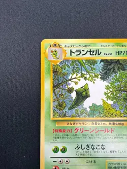 [NM] Merapod Pokemon Card Japanese No.011 Vending Series Glossy Vintage 1M16 - Image 4
