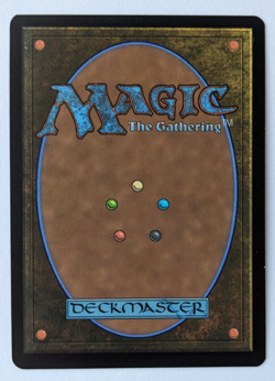 Metallic Mimic (0016) Borderless, TMNT Ninja Turtles PZA, Magic MtG, Reg - NM! - Image 2