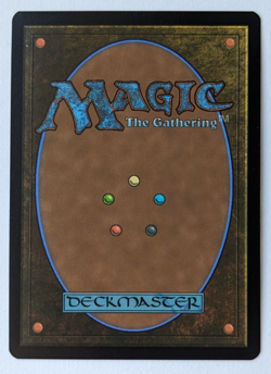 Plague of Vermin (7) Borderless, TMNT Ninja Turtles PZA, Magic MtG, Regular NM! - Image 2
