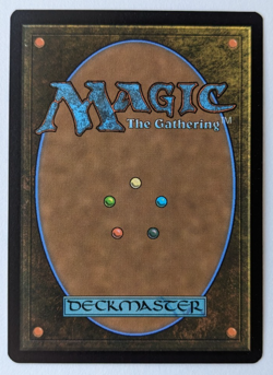 Splinter of the Shadows | Ashcoat (6) Borderless TMNT Turtles PZA, Magic MtG NM! - Image 2