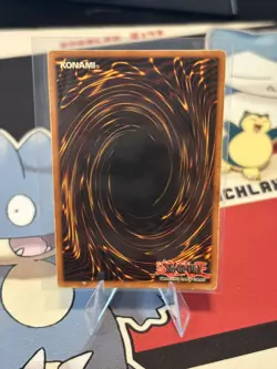 Yu-Gi-Oh! Dark Magician Girl CT2-EN004 Secret Rare Limited Edition Tin Promo LP - Image 2