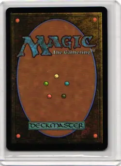 Combat Calligrapher- Commander 2021 LP - Image 2