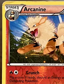 Arcanine 13/99 Next Destinies Reverse Holo Pokemon TCG - Image 2