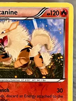 Arcanine 13/99 Next Destinies Reverse Holo Pokemon TCG - Image 3