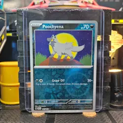 Poochyena Temporal Forces Reverse Holo Pokemon TCG 105/162 Scarlet Violet Common - Image 1