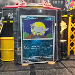 Poochyena Temporal Forces Reverse Holo Pokemon TCG 105/162 Scarlet Violet Common - Image 3